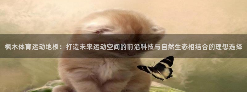 必发官网下载注册:枫木体育运动地板:打造未来运动空间的前沿科